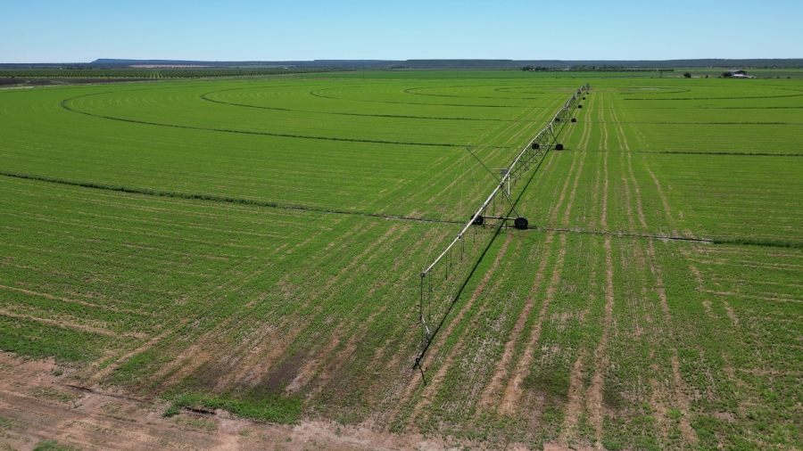 0 Bedroom Property for Sale in Douglas Rural Northern Cape